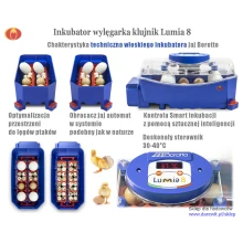 Inkubator wylęgarka klujnik LUMIA Borotto cechy