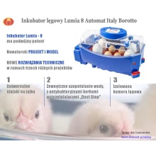 Inkubator klujnik LUMIA-8 Borotto