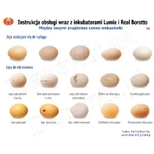 Instrukcja obsługi do inkubatorów Lumia Borotto