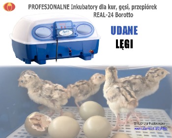 Elektroniczny inkubator jaj Real 24 Borotto darewit sklep