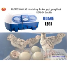 INKUBATOR jaj Wylęgarnia ✅24 jaj kur gęsi 96 przepiórki REAL24 Pro