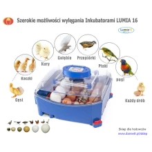 Borotto Lumia 16 Inkubator wylęgarka klujnik możliwości