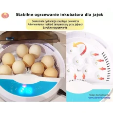 stabilne ogrzewanie inkubatora 9 jaj do wylęgu