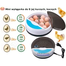 mini wylęgarka do 9 jajek kurzych kaczych