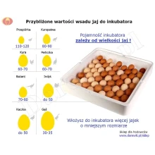 ile-jaj-wlożysz-do-inkubatora-wylęgarki-jaj