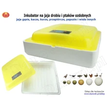 inkubator-na-jaja-drobiu-i-ptaków-ozdobnych