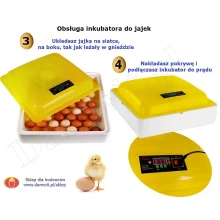 obsługa-inkubatora-ułożenie-jajek