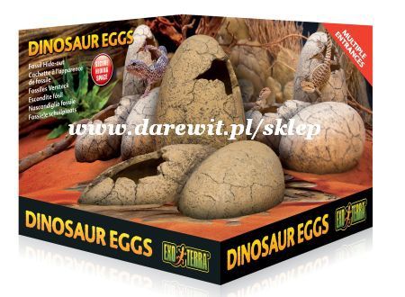 EXO TERRA DINOSAUR EGGS - jaja dinozaura sklep darewit.pl