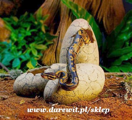 exo terra dinosaur eggs - dla węży kryjówka sklep darewit Warszawa
