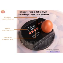 Inkubator-jaj-z-dokladnym-automatycznym-termostatem