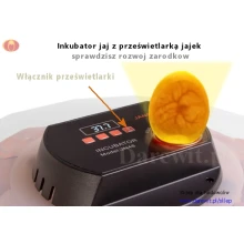 Inkubator-jaj-z-przeswietlarka-jajek-legowych