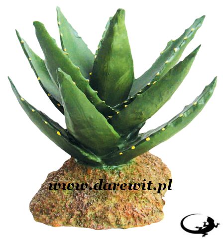 KAKTUS Agawa 12cm ozdoba do terrarium pustynnego