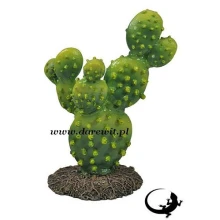 KAKTUS Opuncja 13cm do terrarium z gekonem agamą KAKTUS Opuncja 13cm do terrarium z gekonem agamą