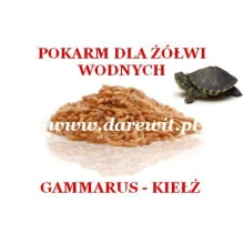 pokarm dla żółwia wodnego - gammarus