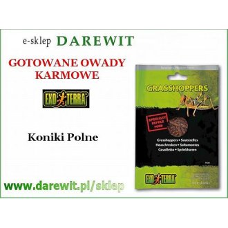 Koniki Polne gotowane Grasshoppers 15g pokarm EXO TERRA 