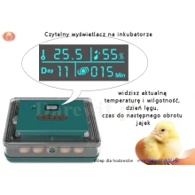 automatyczny-inkubator-nest-25-z-wyswietlaczem-LED automatyczny-inkubator-nest-25-z-wyswietlaczem-LED