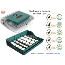 inkubator-do-wylegu-roznych-jaj-automat-Nest-25 inkubator-do-wylegu-roznych-jaj-automat-Nest-25