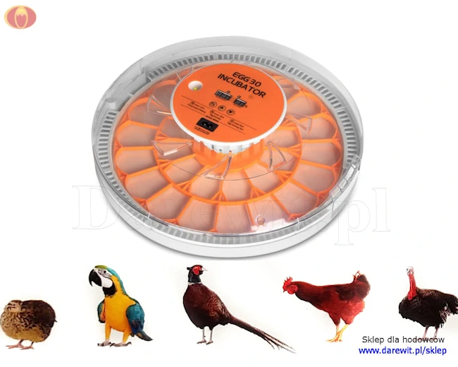 ※Janujaan※ TANGO 33 - BONIA Queen - Makabo Yacht - Czarter jachtów