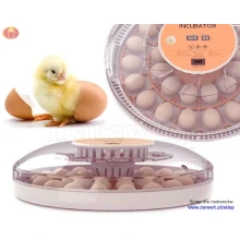 inkubator-na-30-jaj-z-obracaniem-owoskop-termostat
