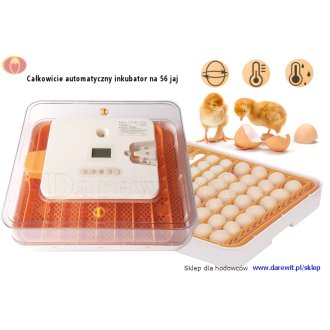 HEN-OVO-automatyczny-inkubator-na-56-jaj-kurzych