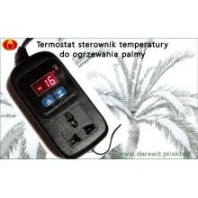 termostat-do-ogrzania-palmy-zima