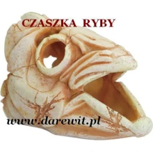 Supre kryjówka ryba czaszka