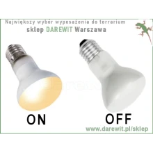 Jaka żarówka do terrarium agamy?