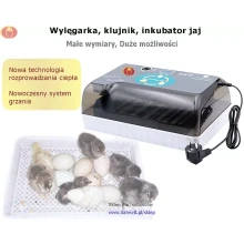 automat-klujnik-wylegarka-inkubator-jaj