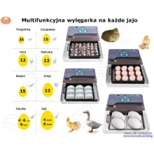 funkcyjna-wylegarka-jaj-ptasich