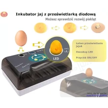 inkubator-z-przeswietlarka-jaj
