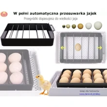 w-pelni-automatyczna-przesuwarka-do-jajek