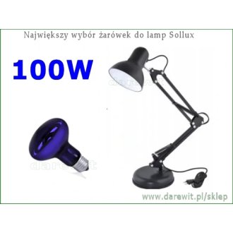 komplet-lampa-z-niebieskim-Sollux-100W-domowa-fizjoterapia-bolu