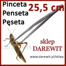 Pinceta anatomiczna 25cm do prac przy gadach