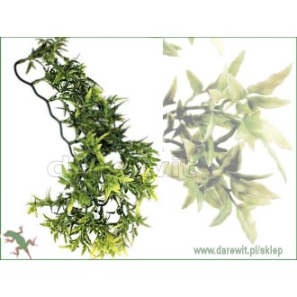 roslina-wiszaca-do-terrarium-Exo-Terra-Croton-Plant