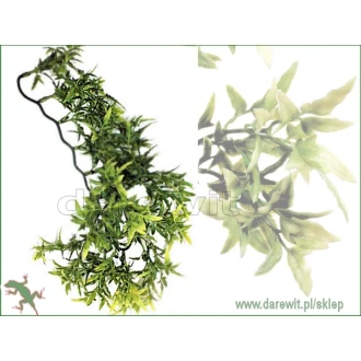 roslina-wiszaca-do-terrarium-Exo-Terra-Croton-Plant