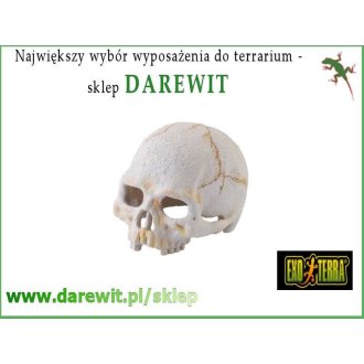 Kryjówka czaszka dla węży zbożowych boa EXO TERRA Primate Skull 