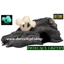 Świecące grzyby kryjówka do terrarium EXO TERRA - SKLEP DAREWIT