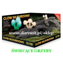 EXO TERRA GLOW MUSHROMS - świecące grzybki kryjówka dla gadów