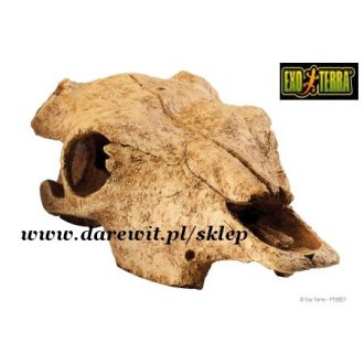 Kryjówka Czaszka bawoła Buffalo Skull EXOTERRA