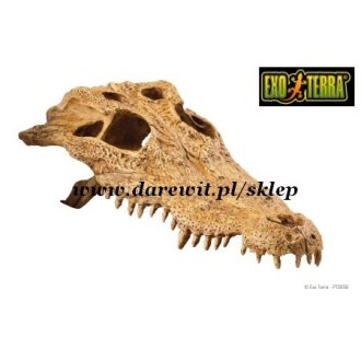 Kryjówka Czaszka krokodyla Crocodile Skull EXO TERRA