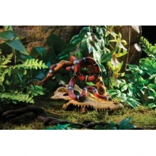 Crocodile-skull-Exo-terra-czaska-terrarium