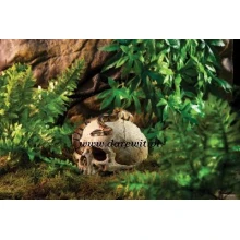 unikalna-czaszka-exo-terra-do-terrarium