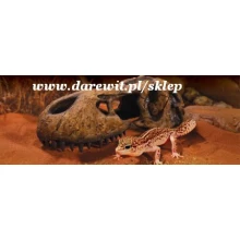 super czacha T-REX dla węża, gekona