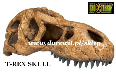 kryjówka czaszka T-REX - sklep darewit Warszawa