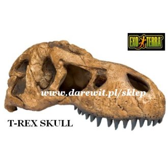 Czaszka Dinozaur T-Rex Skull Exo Terra Kryjówka do terrarium, akwarium