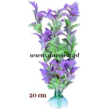 Ostróżka do terrarium roślina 20cm Ostróżka do terrarium roślina 20cm