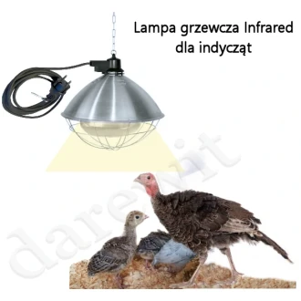 lampa-grzewcza-dla-indyczat-indykow