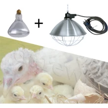 lampa-grzewcza-do-indyczarni-dla-mlodych-indykow