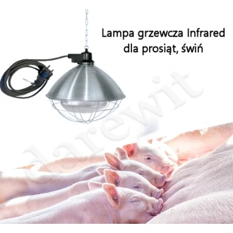 lampa-grzewcza-dla-swin-prosiat-warchlakow