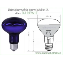 Lampą sollux z niebieskim filtrem